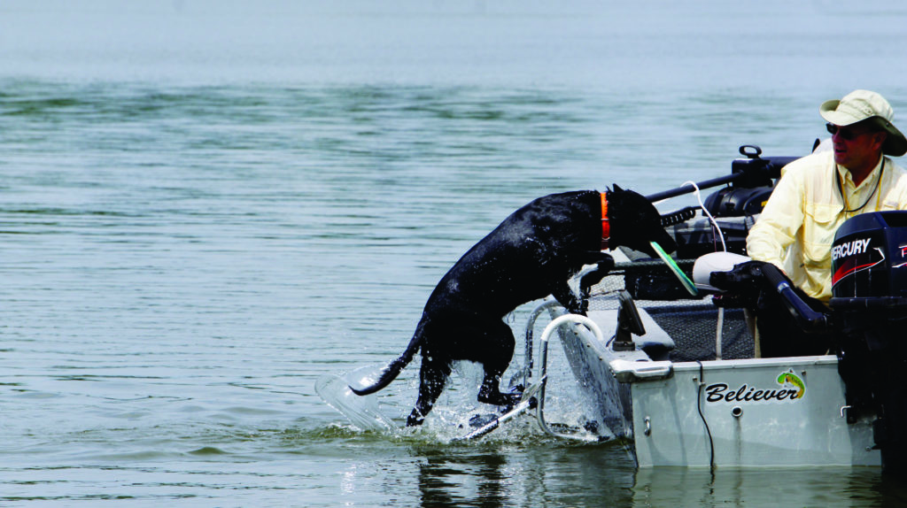 Dog Boarding Ladder Drifter Marine