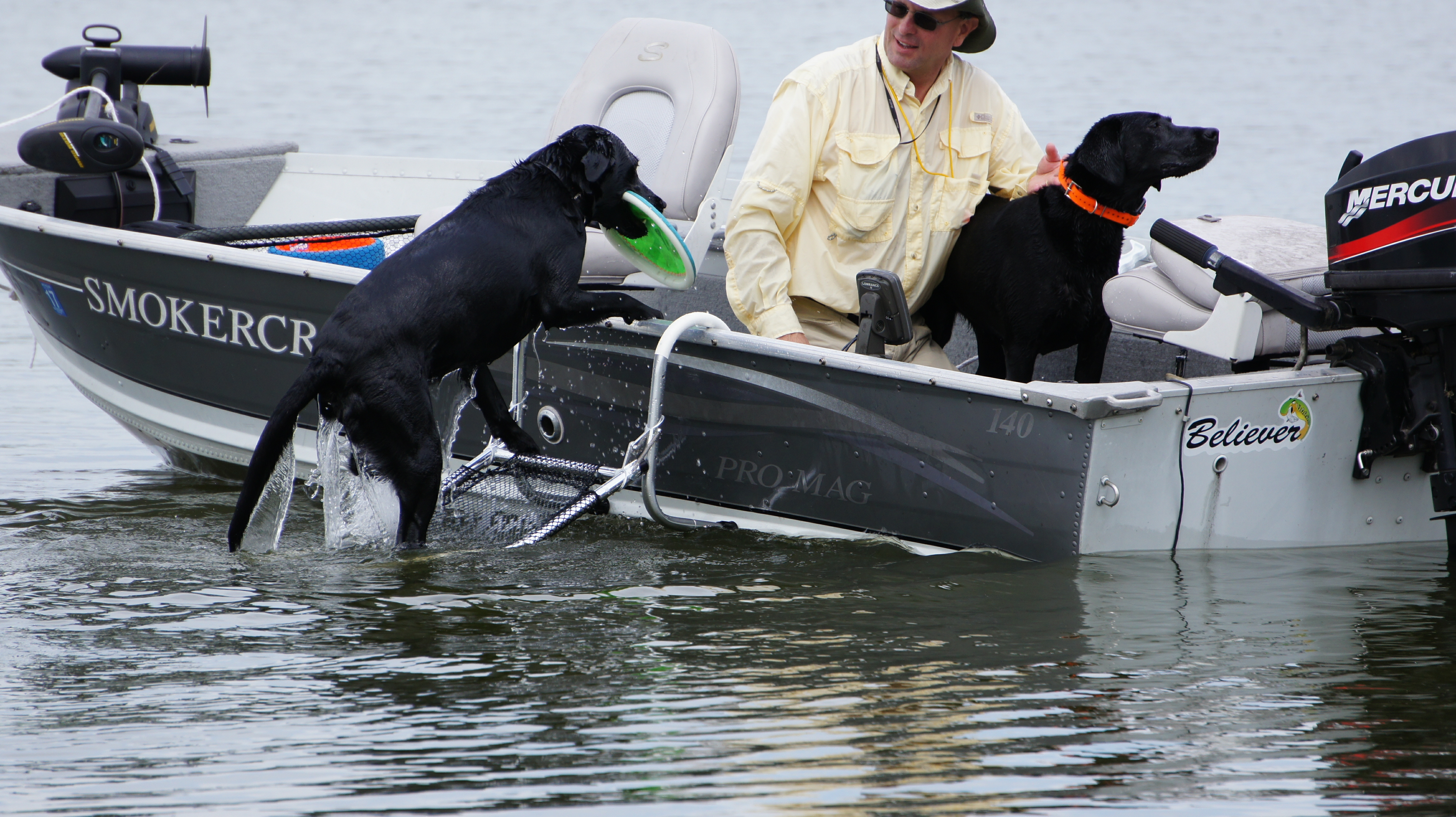 dog swim ladder