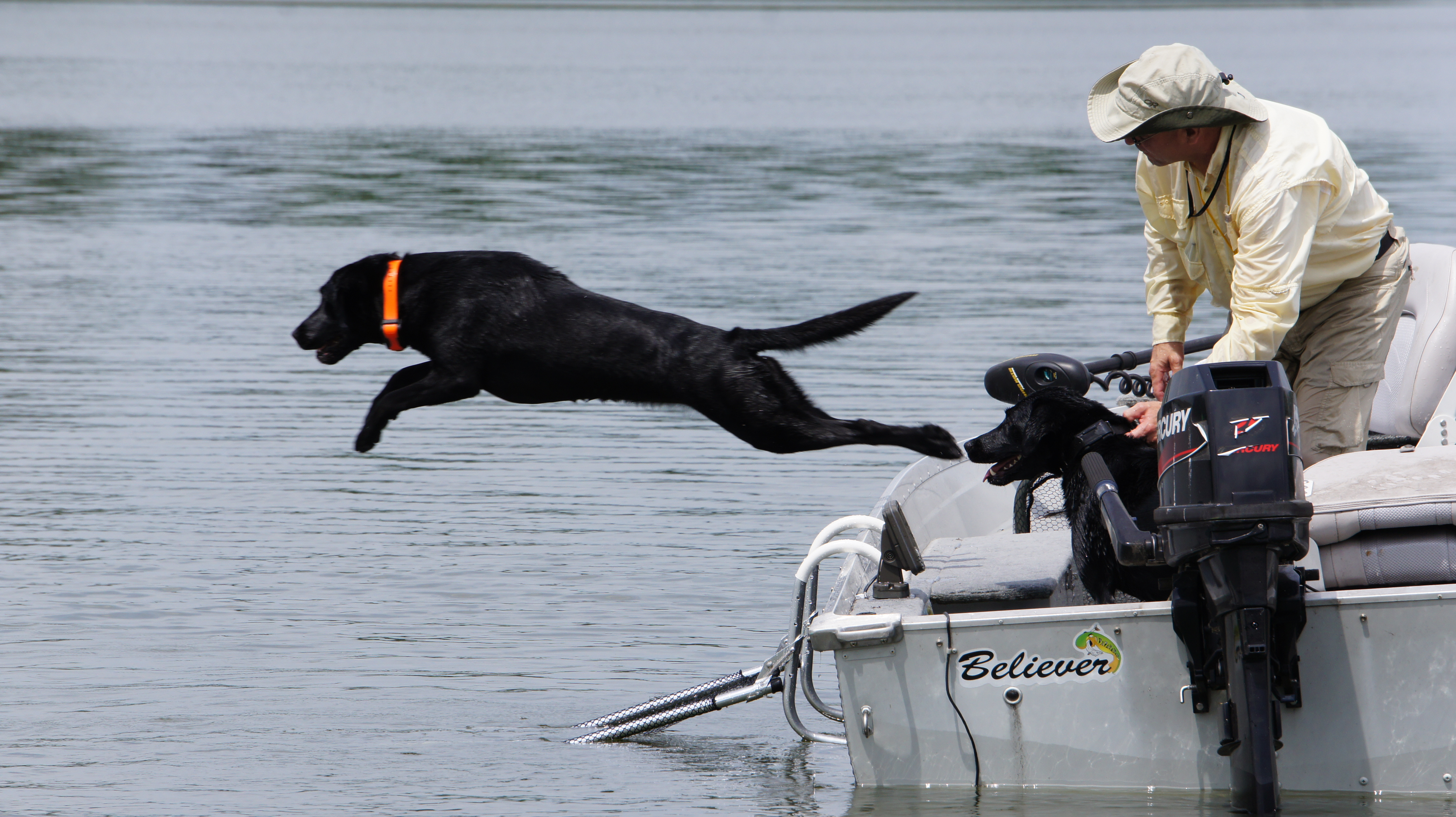 Drifter marine dog boat boarding ladder hotsell